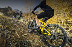 Get Rolling: Michelin Tyres at Trev’s