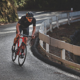 Cyclist on a winding road with a wooden fence and trees in the background